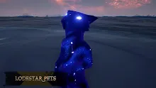 PE_Jan22_LodestarCat.jpg
