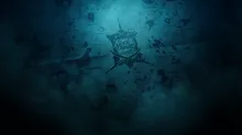 SoT_Map_Feature_Brand.png