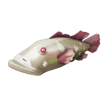 Umber Splashtail.png