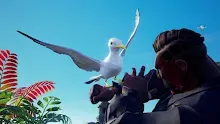 PE_Jul23_SeagullPocketPet_16-9.jpg