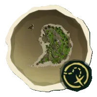 Treasure_Map_Icon.png