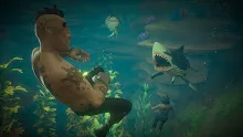 shark_attack.jpg