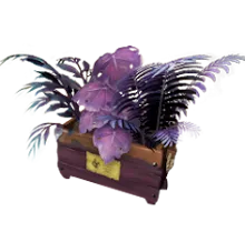 Crate of Exotic Plants.png