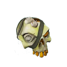Skeleton Captain's Bounty Skull.png