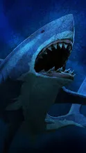 SharkWeek19_03.jpg