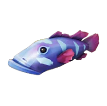 Indigo Splashtail.png