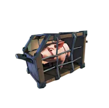 Pink Pig.png