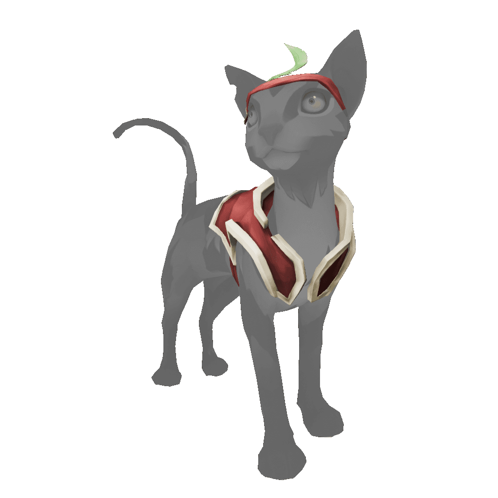 Pet Outfits