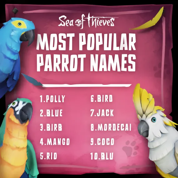 Popular Pet Names Asset Pack Promo Image