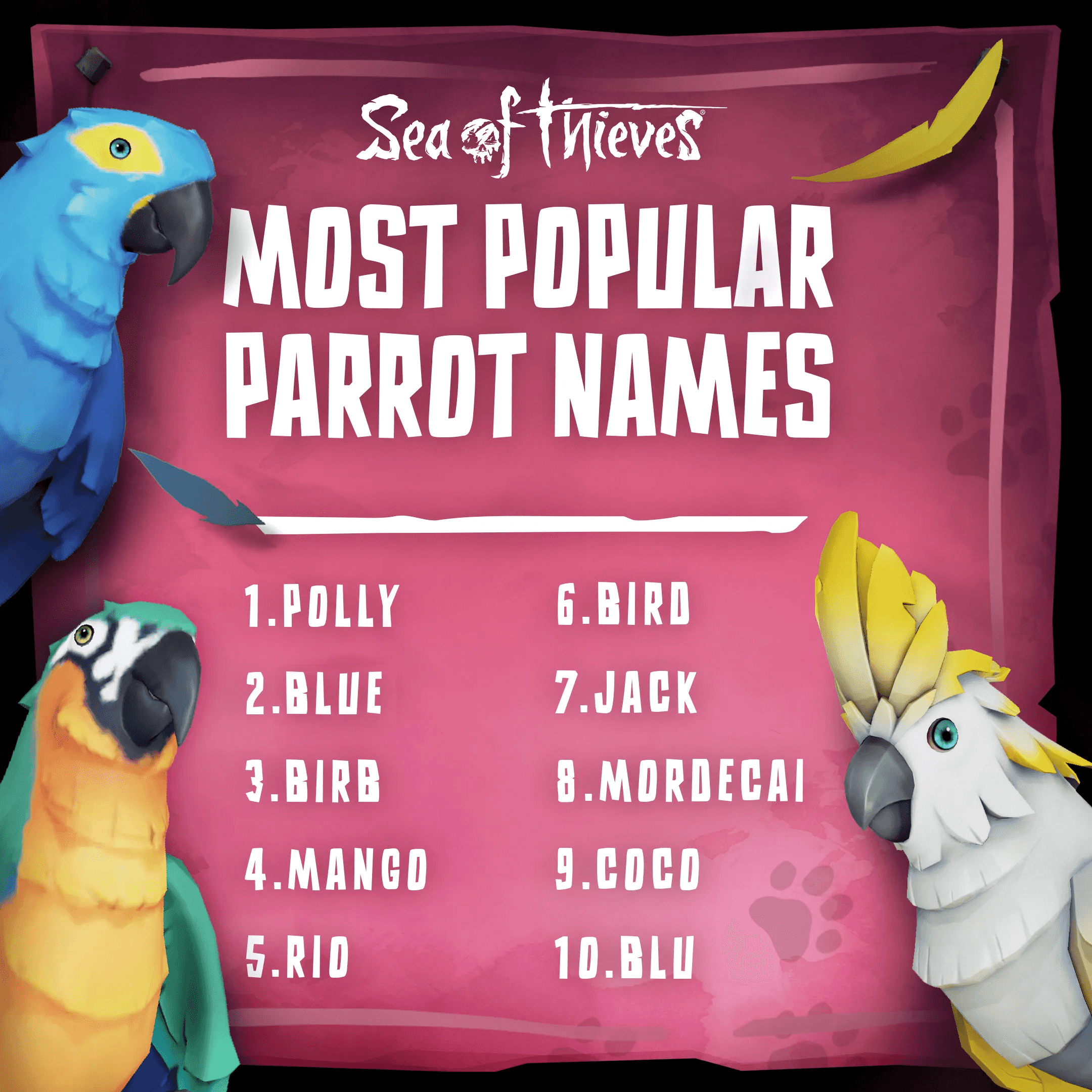 Popular Pet Names
